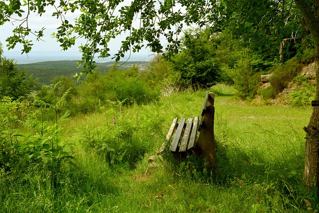 中超外援全部就位 飞机大炮变回小米加步枪