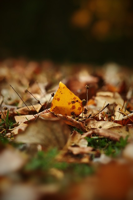 为后续赛事 为后续赛事