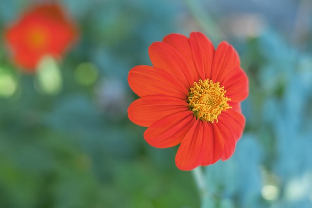 成本可能远 成本可能远