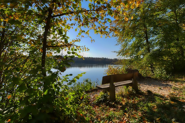 深入探讨杜 深入探讨杜